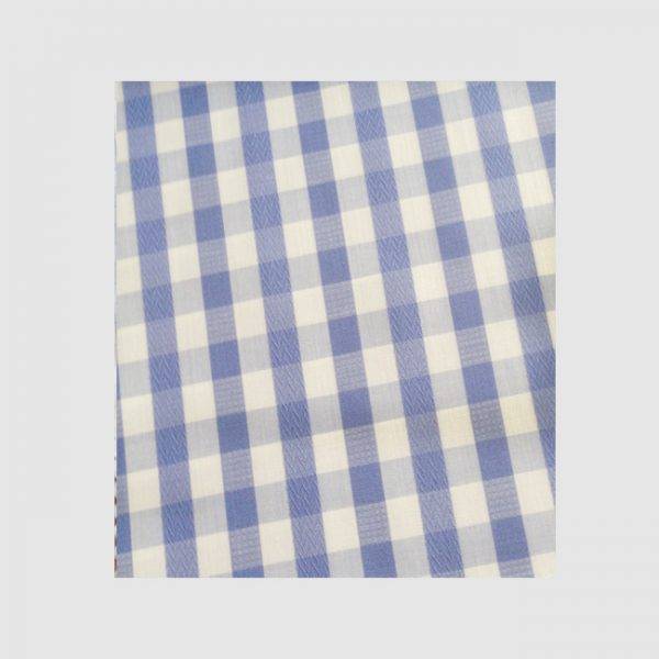 Blue & White Pattern Checks