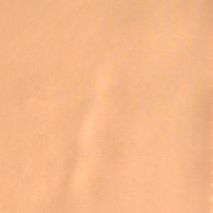 RMT 100% FINE SWISS COTTON SOLID($99) SHIRT